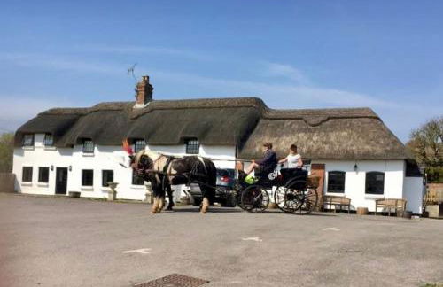 Tumbleweed 3 - Photo 13