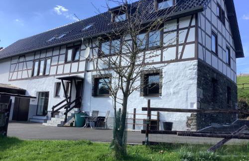 Berg Blick Eifler Bauernhaus modern restauriert - Photo 8