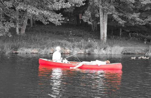 Lakefront Hot Tub Canoes Game Room Wood FP - Foto 28