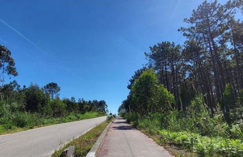 Nazare Uninterrupted Views and Sounds of the Sea - Foto 33