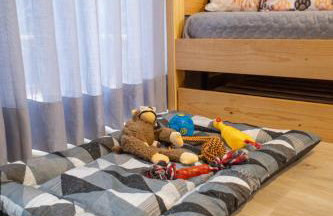 Bom pra Cachorro - Foto 9