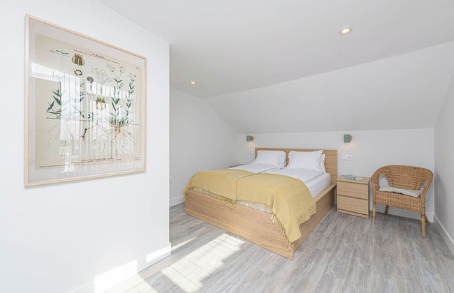 Solaga - Chinchilla - Foto 5