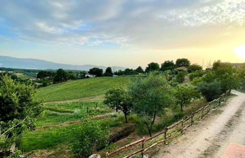 Donna Vittori - Borgo Agricolo - Foto 54