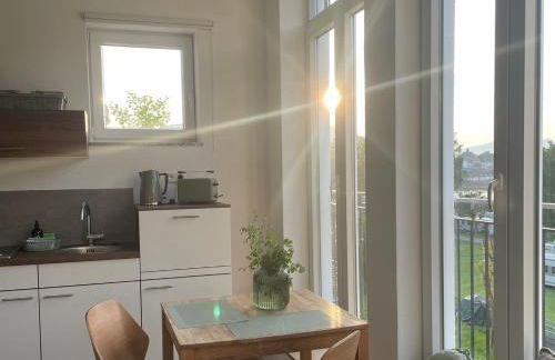 MAINTERRASSE Boardinghouse am Fluss klimatisierte Apartments mit 80qm Terrasse - Foto 7