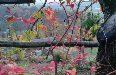 Cà Nostra B&B Home Restaurant - Photo 59