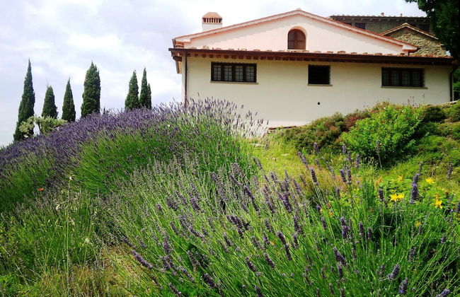 Poggio Corsucci - Foto 75