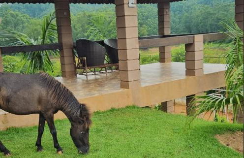 Chácara Recanto França - Foto 16