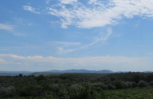 Guest Accommodation Grozdanić - Photo 16