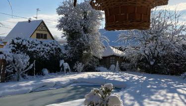 Le Grenier - Piscine et SPA - Foto 3, Garden view