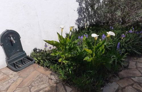 Résidence Sables d'Or Accès direct plage - Foto 13