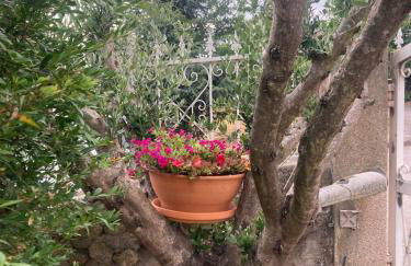 D'Ouro Meu House - Foto 6