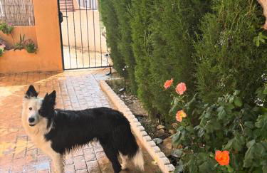 Casa Rural con encanto Señorio Manchego ALBACETE - Foto 8