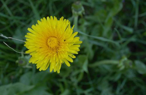 Ośrodek Wypoczynkowo Sportowy Pod Żurawiem - Foto 17