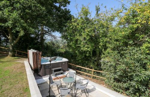 The Coach House at Plas Dolguog - Foto 39