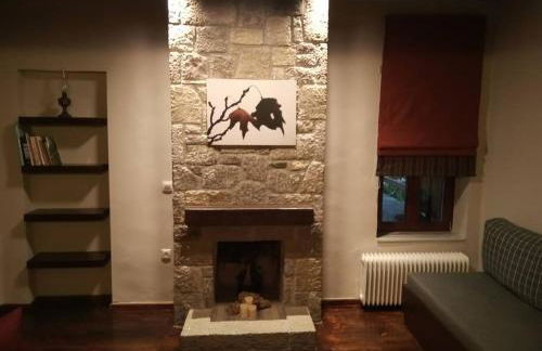 Τείχιο Πατρικό - Tihio Patriko - Πέτρινη κατοικία - Foto 12