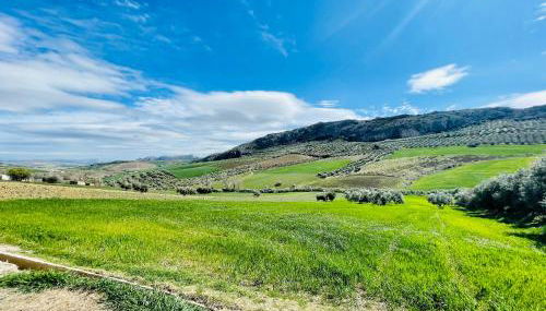 Casita en el Paraíso - Foto 5