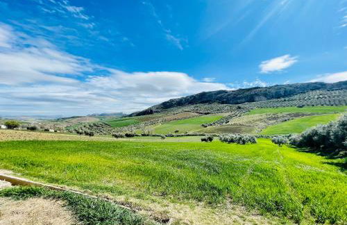 Casita en el Paraíso - Foto 5