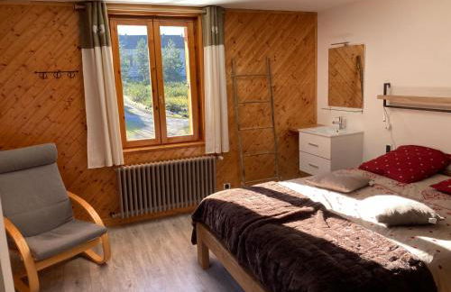 l'Echo des Glieres vue montagne centre village sauna & grill - Foto 13