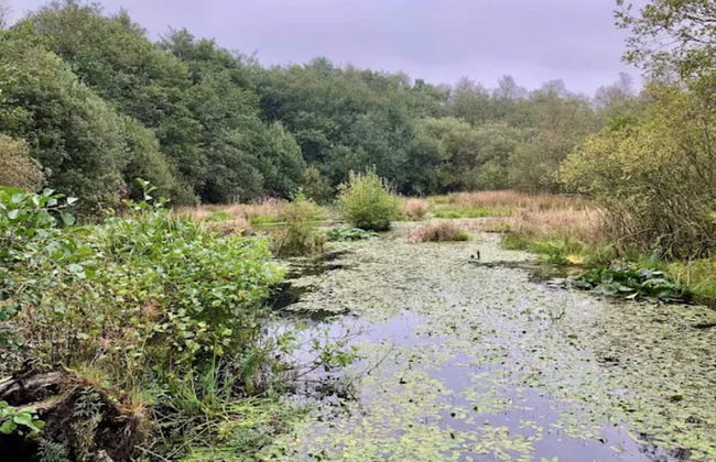 Luxury Lakeside Retreat-by Traum - Foto 50