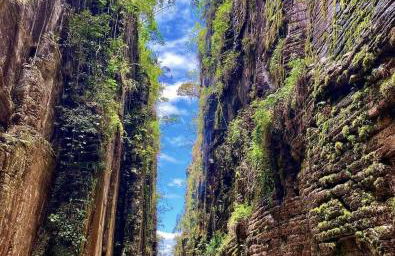 Casa da Serra dos Alves - Photo 7