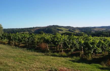 Casa Trastullo - Foto 22