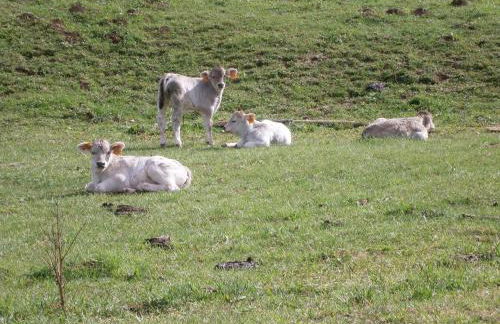 Turisme Rural Lo Pallé de Cal Bosch - Foto 69
