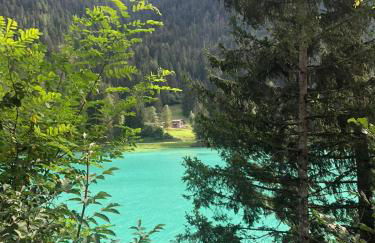 B&B Dolomiti - Foto 27