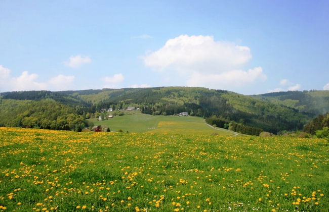 Holiday Home in Willingen Near Ski Area - Photo 20