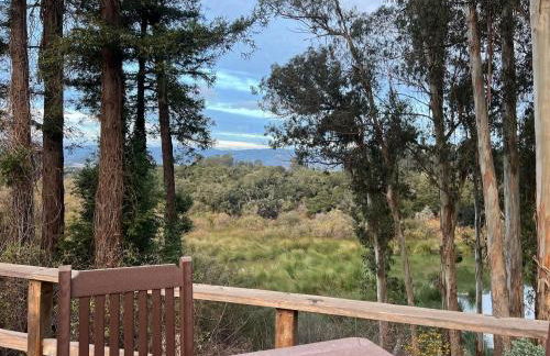 Secluded Lake Cottage with Hot Tub - Foto 22