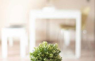 Schiller-Quartier 6 - Photo 38