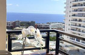 Cozy Ocean view 1 BDR APT, Club Paraiso - Foto 1
