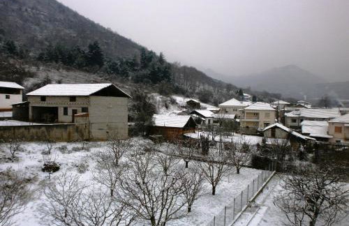 House Venetia - Photo 18