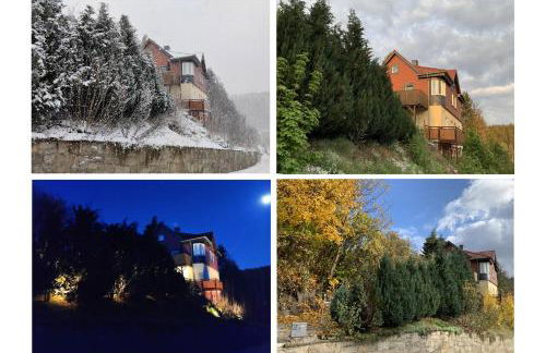 FaFeWo Ferienwohnungen mit Sternekomfort in Tanne Harz - Foto 39