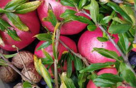 Hephaestus Appartments Litochoro -A1 - Foto 32