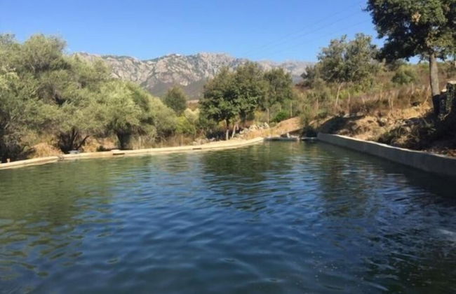 Moulin de l'Ostriconi - Foto 50