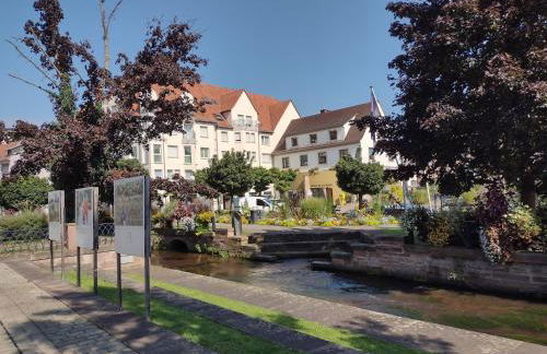 Charmant studio classé 3 étoiles au coeur de Niederbronn-les-Bains - Foto 9