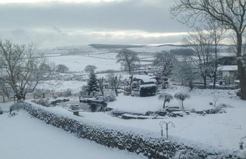 Saetr Cottage - Foto 16