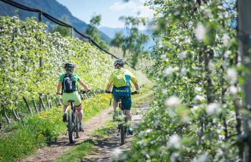 Haus Bernhard - Foto 11