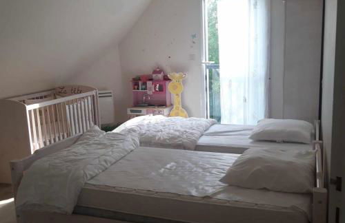 Villa la Salamandre - Jullouville - Foto 13