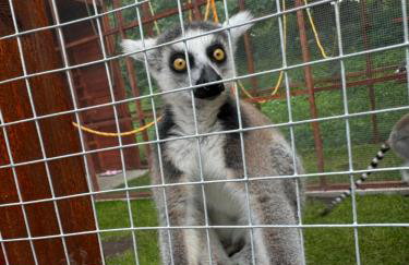 Agroturystyka Zielony Zakątek w Wiewiecku - Foto 24