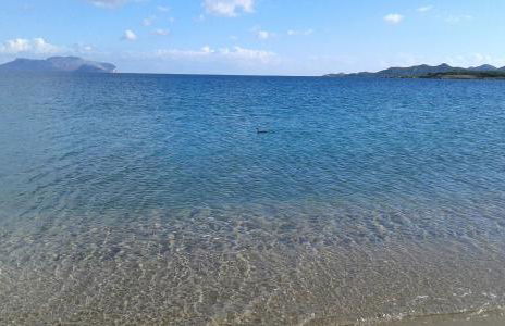 appartamento al mare vicino Olbia - Foto 8