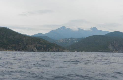 Les Asphodèles - Foto 19