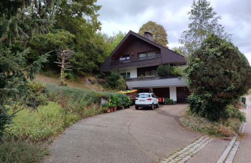 Feldbergsicht - Foto 7