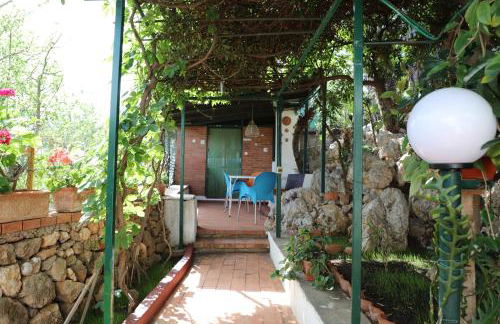 Casa Elvira - Foto 23