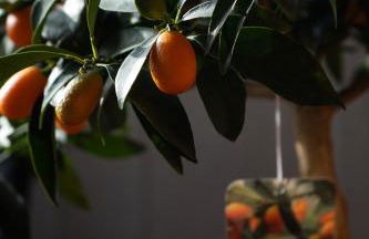 Urban Chic Apartment - Foto 19