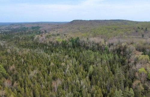 Steps to Sturgeon River! Dog-Friendly Nature Haven - Foto 30