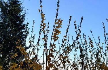 Chalet cosy entre lacs et montagnes - Foto 15