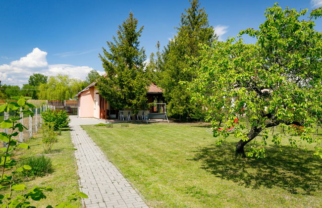 Pear Trees - Foto 26