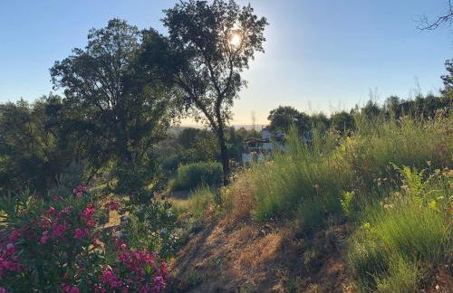 Casa da Menina - Photo 6