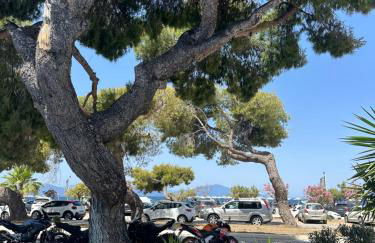 Mimika studios - Foto 14